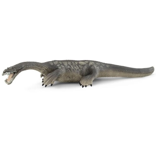 Nothosaurus Dinosaur