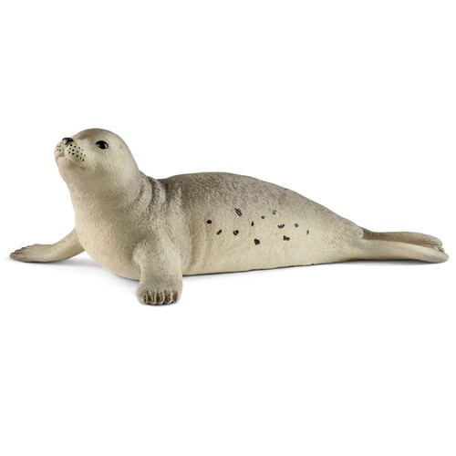 Seal image