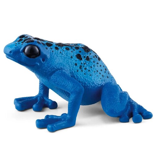 Blue Poison Dart Frog image