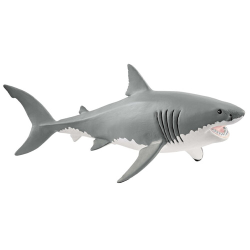 Great White Shark image