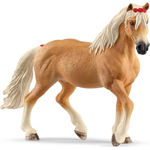 Haflinger Mare image