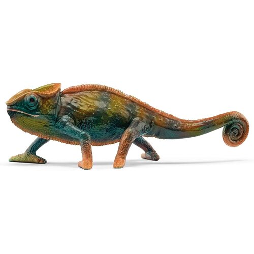 Chameleon image