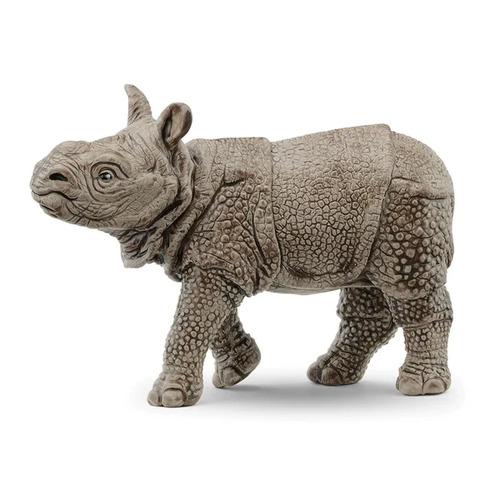 Indian Baby Rhinoceros image