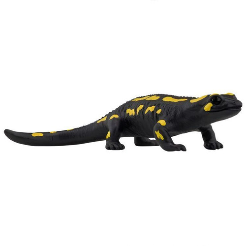 Fire Salamander image