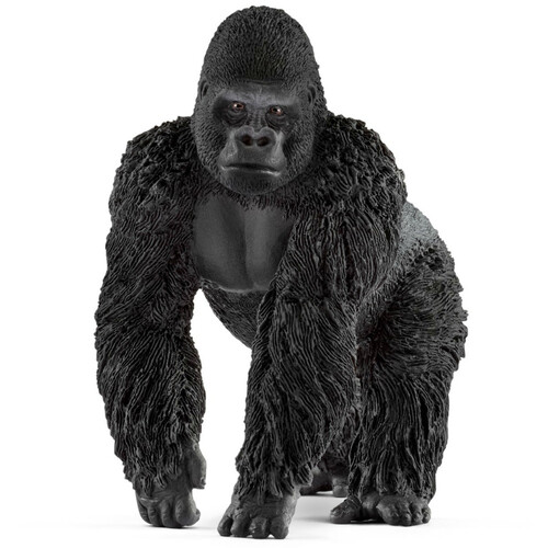 Gorilla (Male)