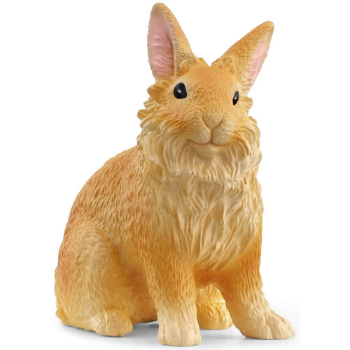 Lionhead Rabbit image
