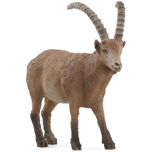 Ibex image