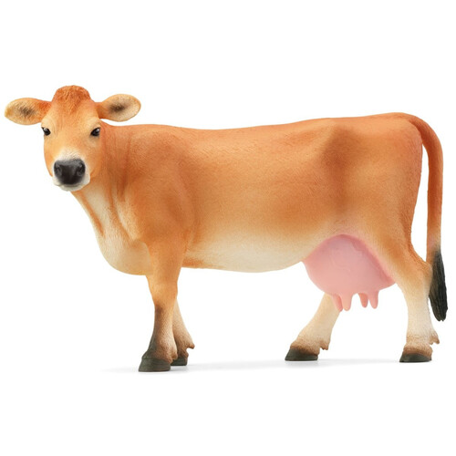 Jersey Cow image