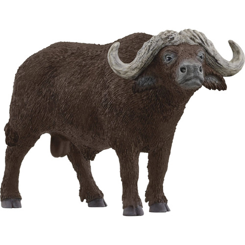 African Buffalo image