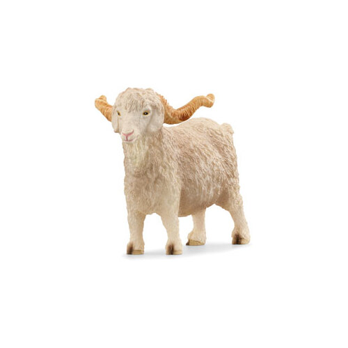Angora Goat image