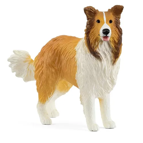 Collie - 2025 image
