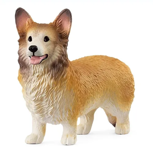 Welsh Corgi - 2025 image