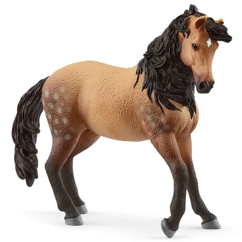 Andalusian Mare- 2025 image