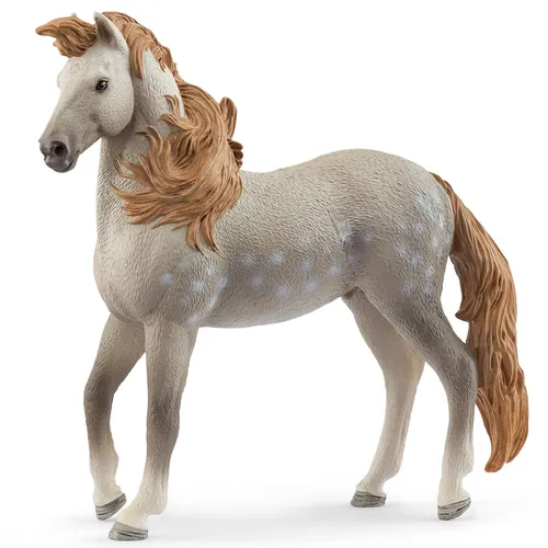 Andalusian Stallion- 2025 image