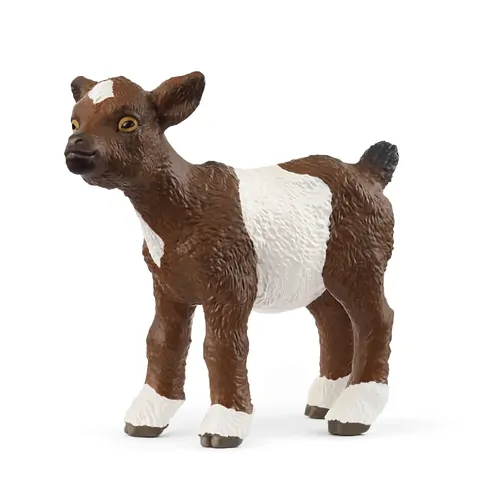 Goat Kid- 2025 image