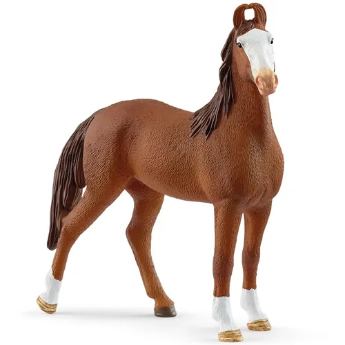 Marwari Mare - 2025 image