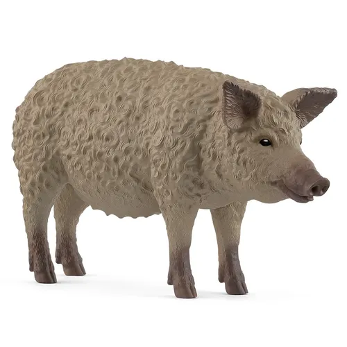 Mangalica Pig - 2025 image