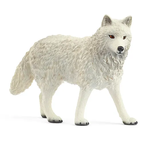 Arctic Wolf - 2025 image