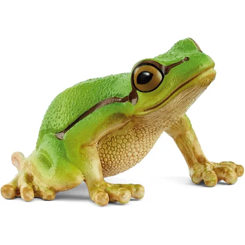European Tree Frog - 2025 image