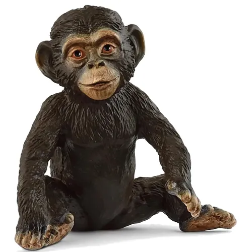 Chimpanzee Cub - 2025 image