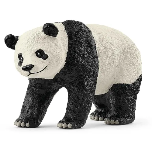 Giant Panda- 2025 image