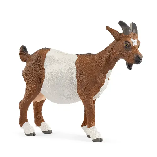 Goat- 2025                     image
