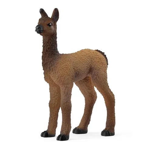 Llama Foal - 2025 image