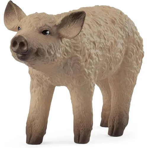 Mangalica Piglet - 2025 image