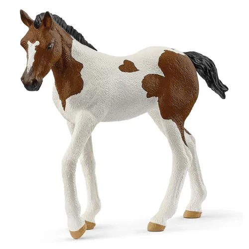 Paint Horse Foal- 2025 image