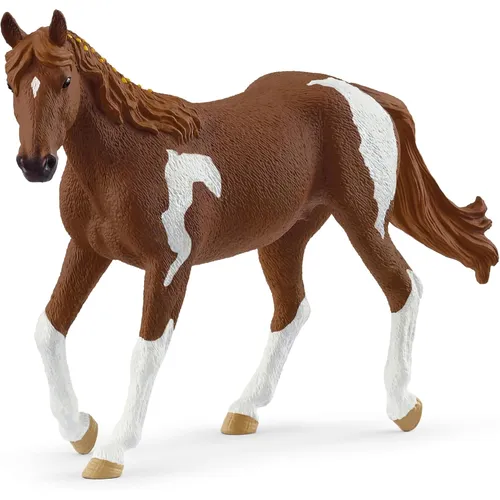 Paint Horse Mare- 2025 image