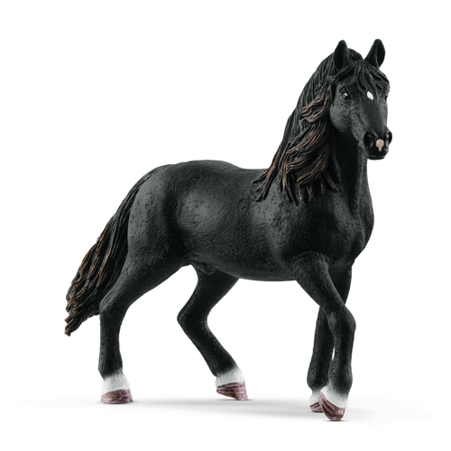 Andalusier Stallion- Black image