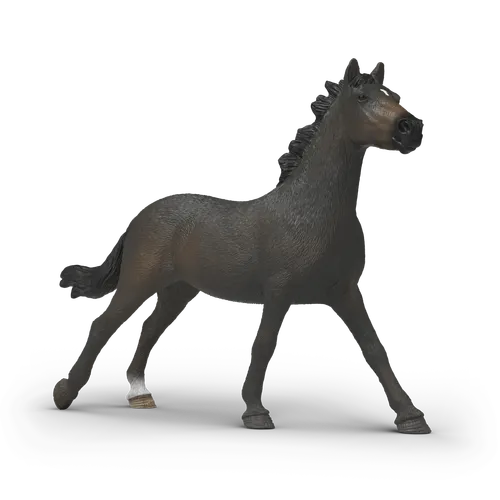 English Thoroughbred Mare image