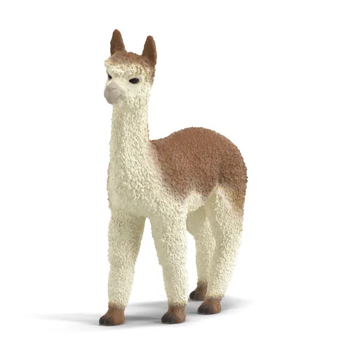 Alpaca image