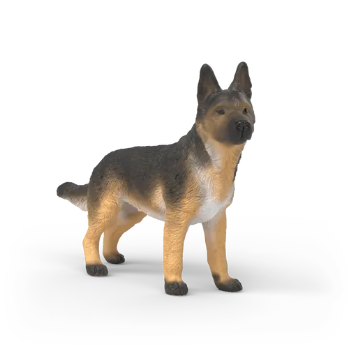 German Shepherd Female image