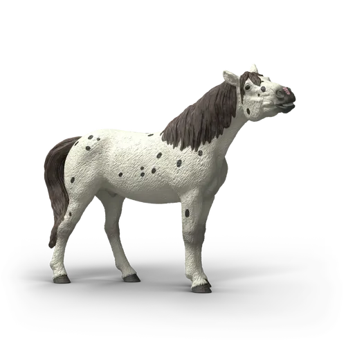 Knabstrupper Gelding image