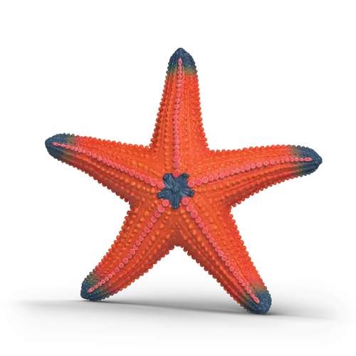 Colour Changing Starfish image