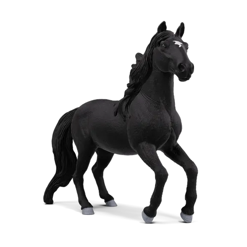 Lusitano Stallion image