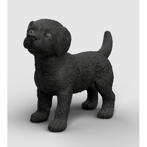 Black Labrador Retriever Puppy image