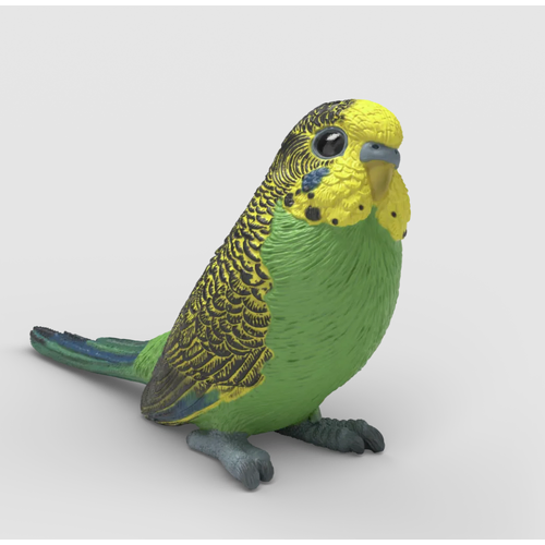 Budgie image