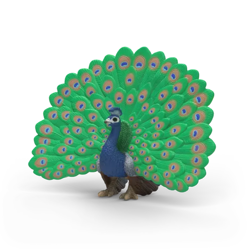Peacock image