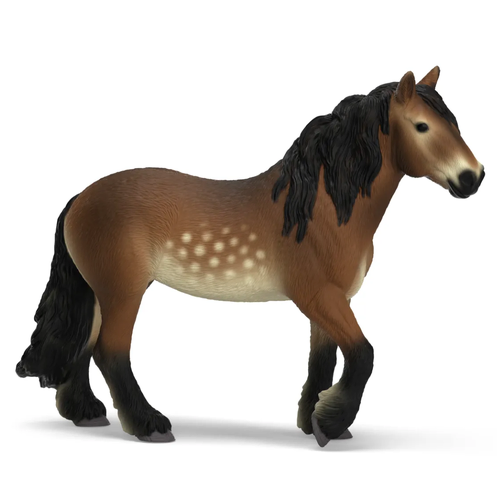 North Swedish Cold Blooded Mare image