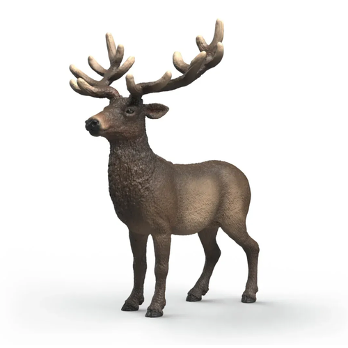 Elk image