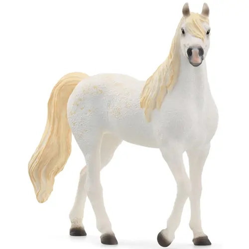 Arabian Mare image