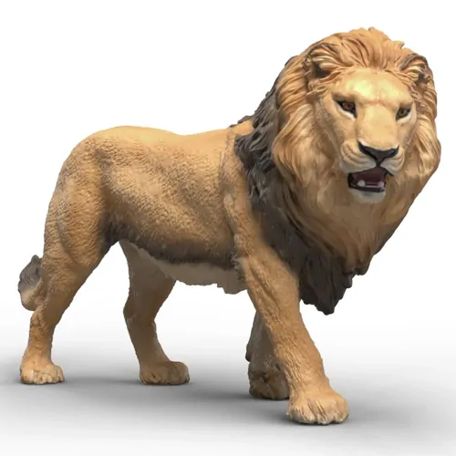 Lion image