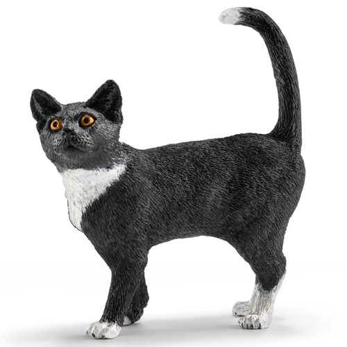 Black Cat Standing image