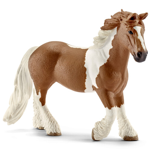 Tinker Mare image