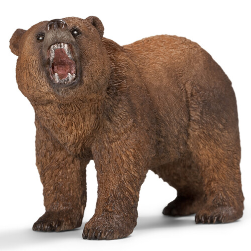 Grizzly Bear image