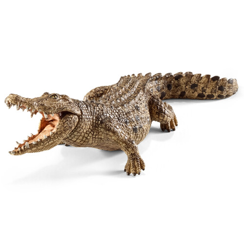 Crocodile image