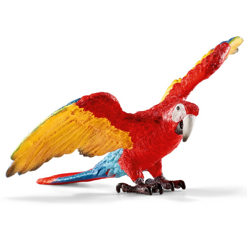 Macaw image