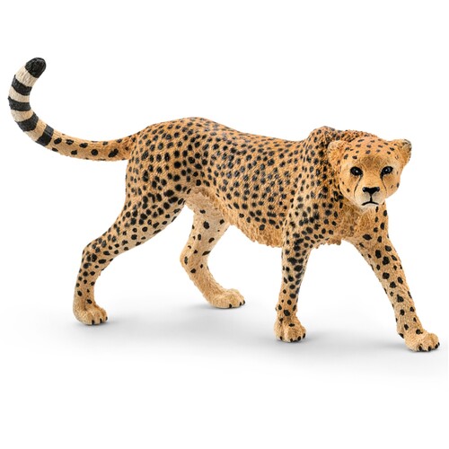 Cheetah (Female) image